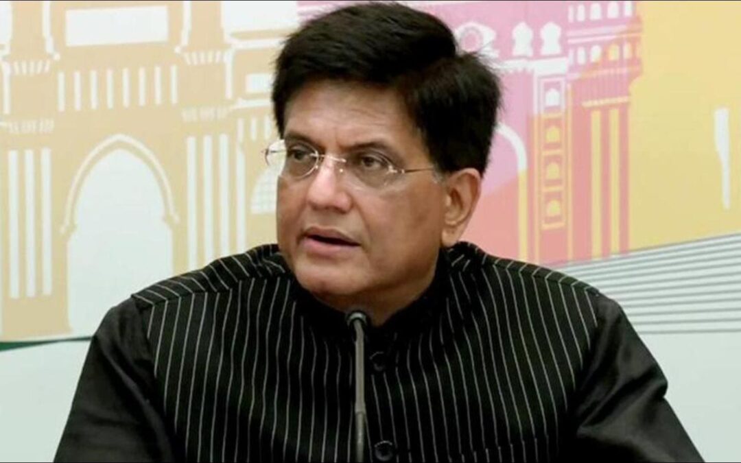 Govt to set up a non-profit company to facilitate equitable e-commerce growth