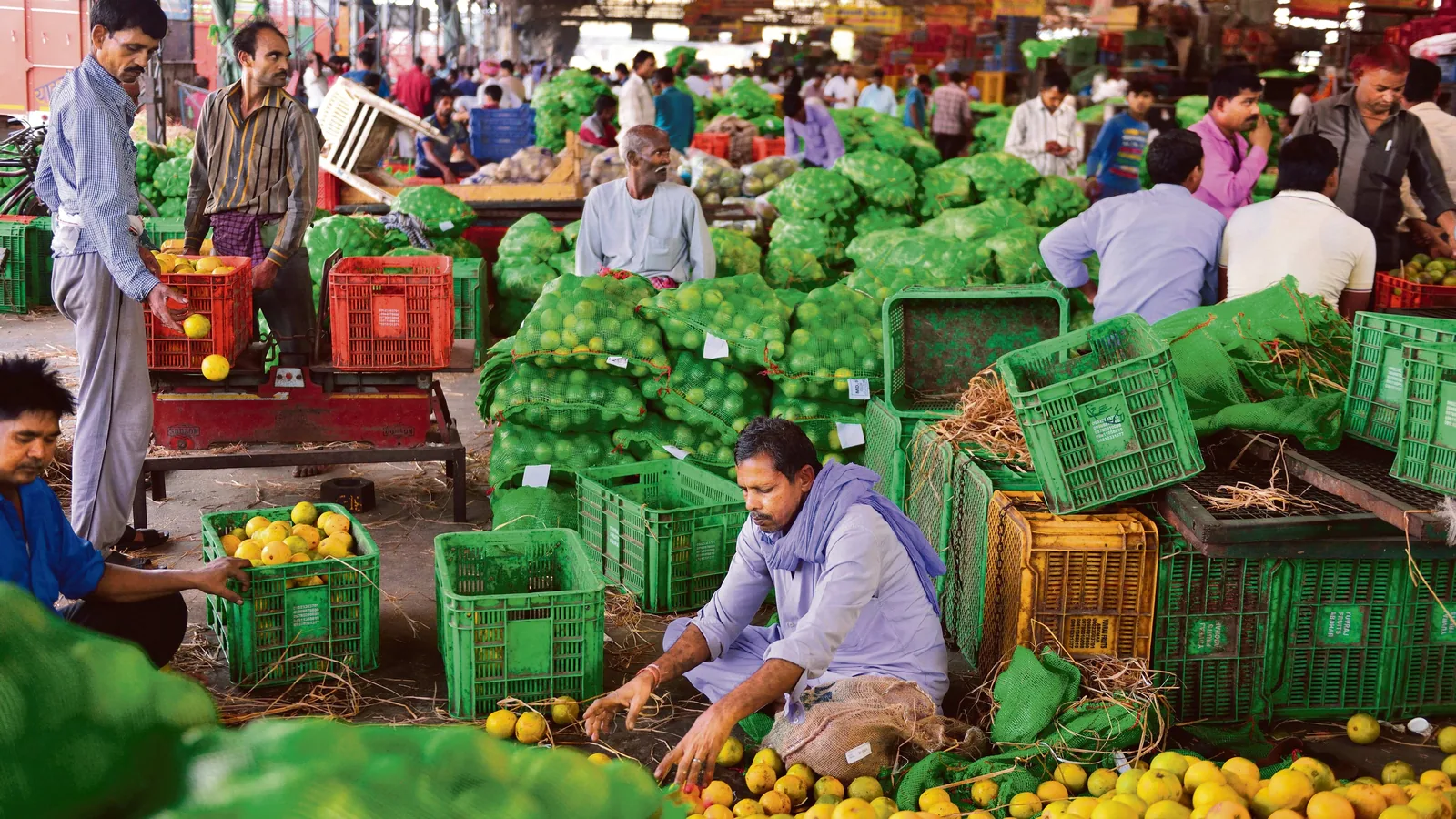 Food prices stay high despite bumper harvest