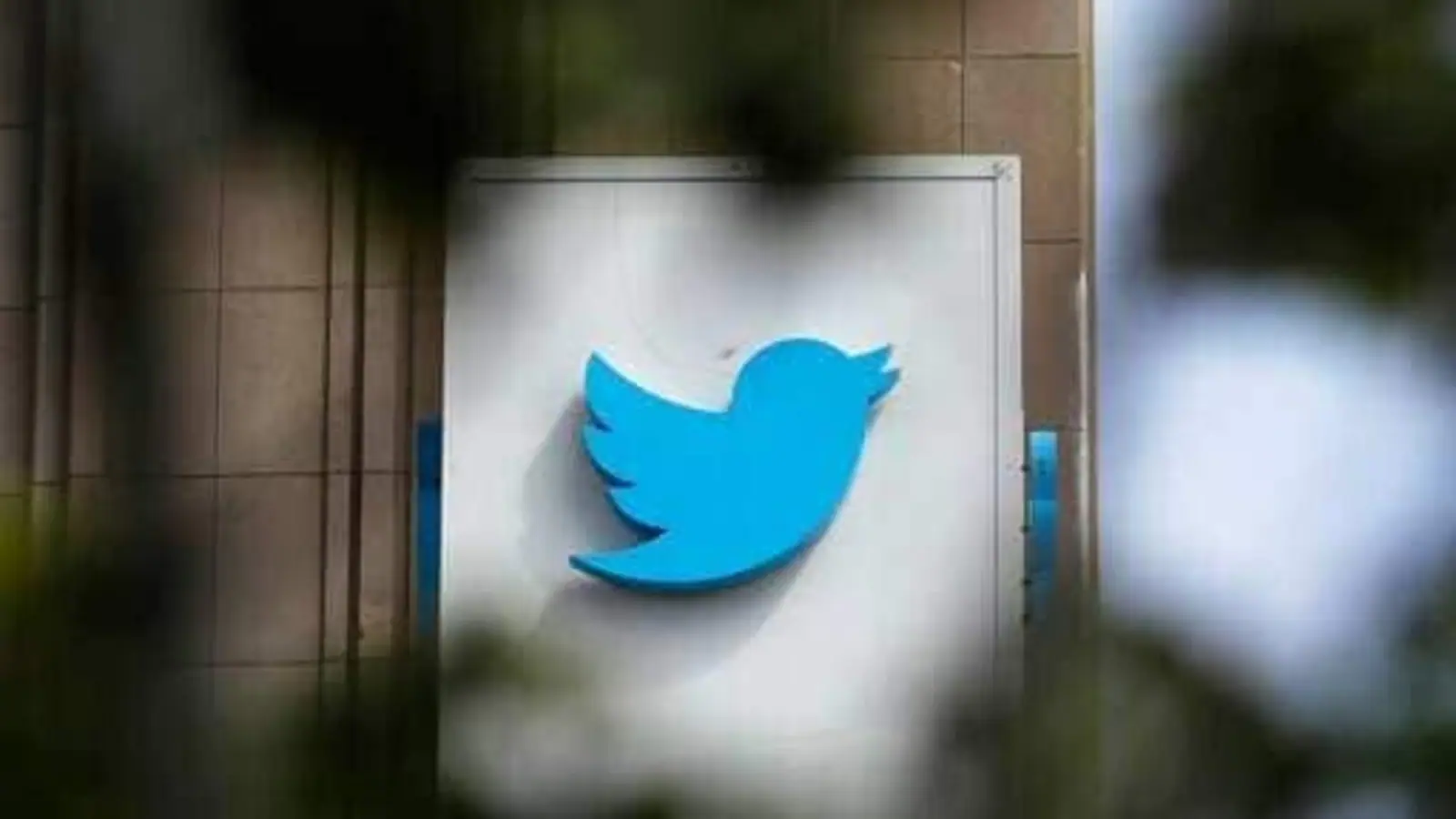 Twitter down: Users report global outage, complain of being logged out of accounts