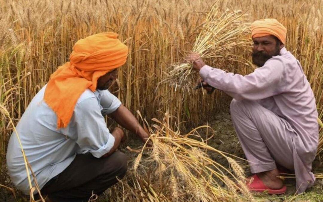 Amid surge in global prices, India signs deals to export 500,000 tonnes of wheat