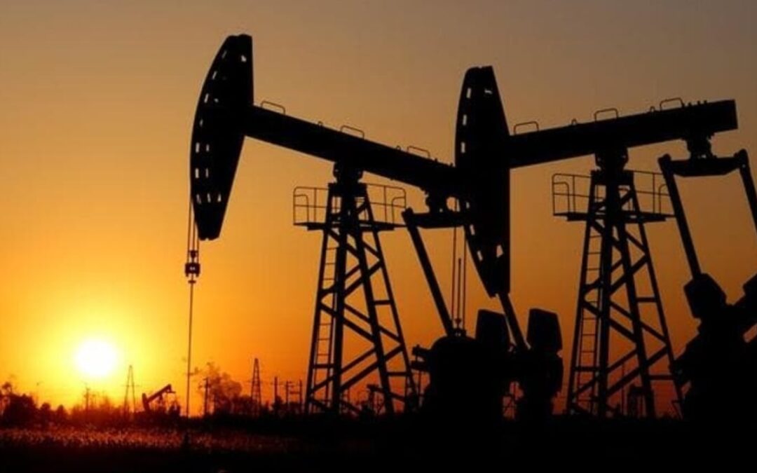 Oil steadies near $103 after jumping on doubts over Moscow-Kyiv peace talks