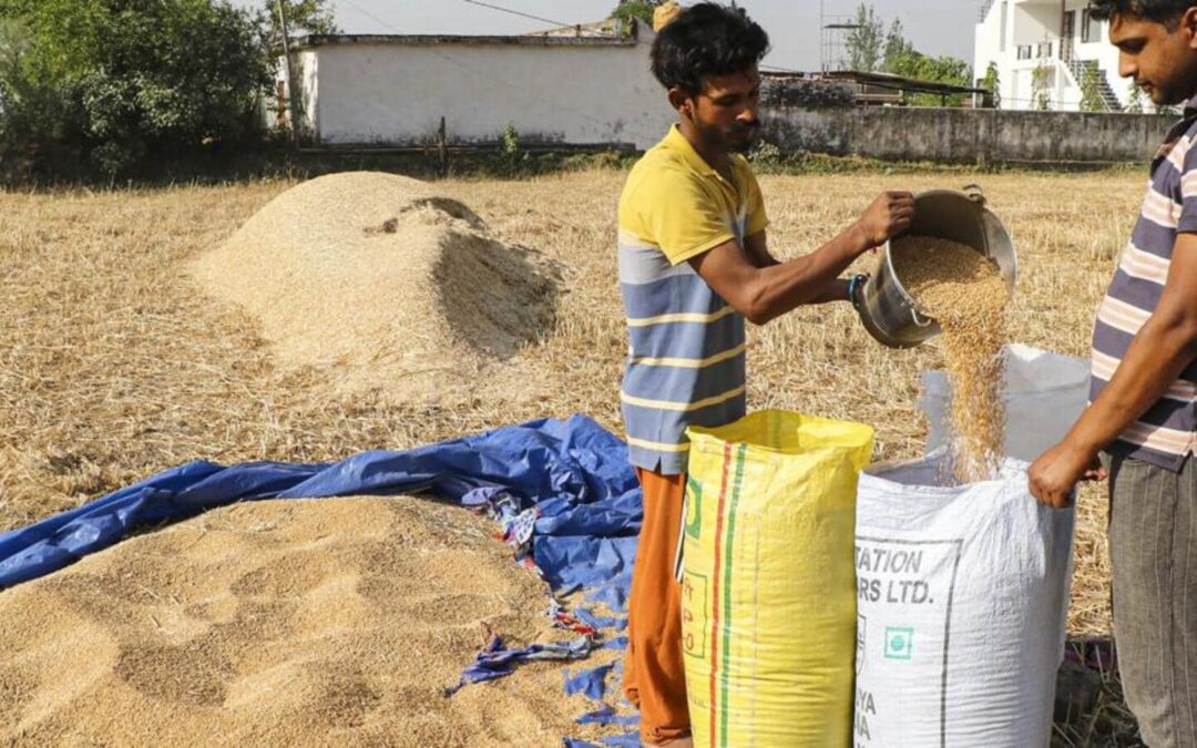 Commodities in packs of over 25kg won’t attract GST: Finance ministry