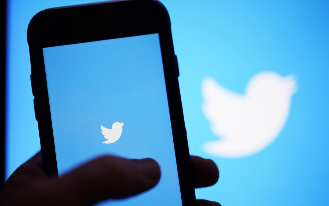 Twitter shares Sink, with legal battle ahead as Elon Musk walks away