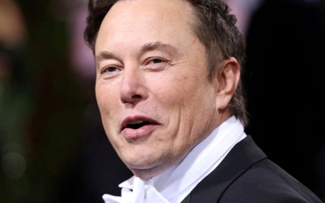 Twitter vs Tesla chief: What led to breach of merger agreement, as per Elon Musk