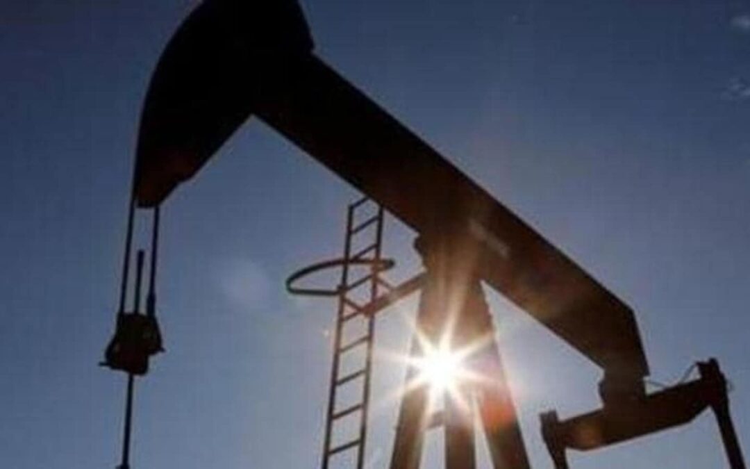 Oil markets going through ‘great fluctuations’: OPEC secretary general