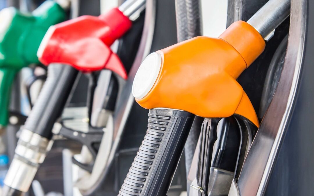 Petrol, diesel prices on August 15: On 77th Independence Day, check latest rates for your city