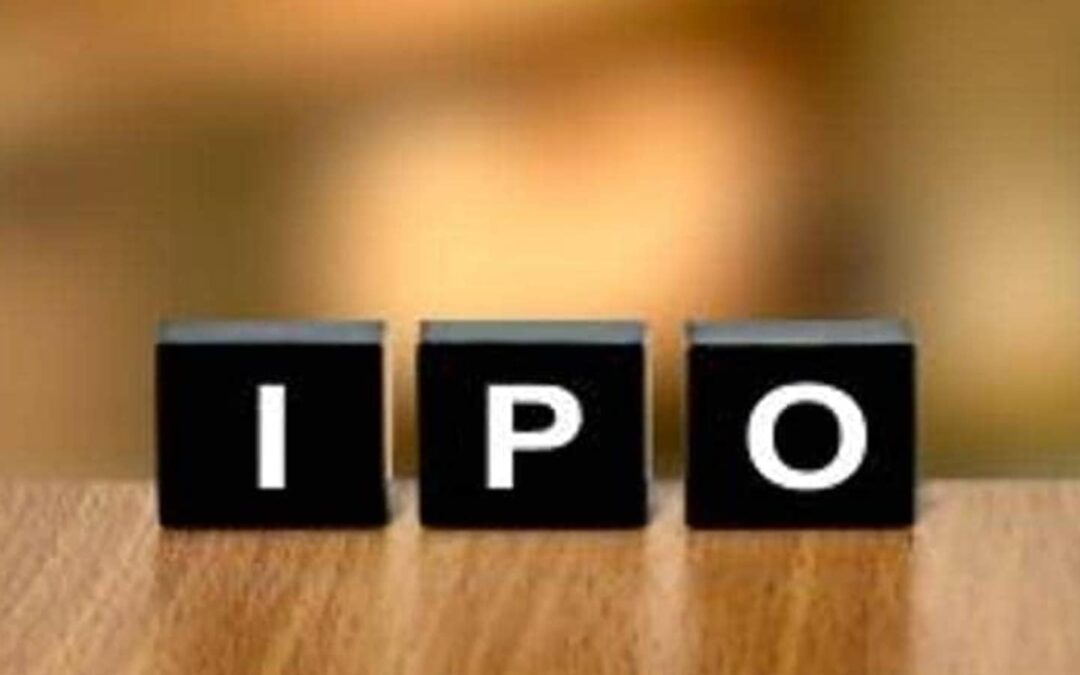 Srivari Spices IPO to be allotted on Aug 14: How to check allotment status, GMP